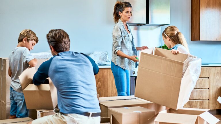 Paletten Transport Wien + Fahrer 38€/Std